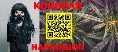 сатива Донецк