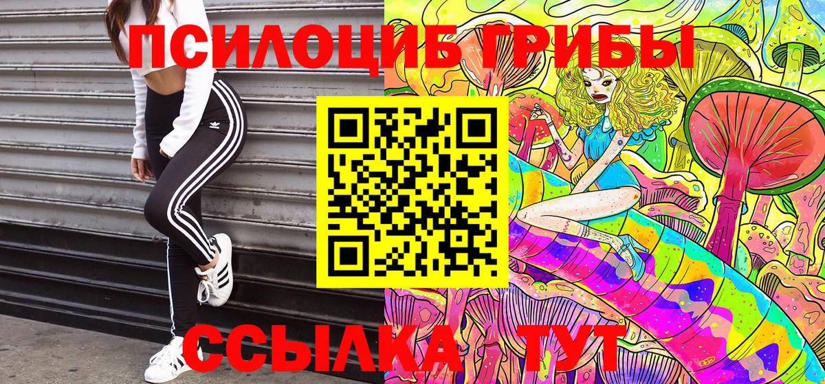 Псилоцибиновые грибы Cubensis  Галлюциногенные грибы мицелий  где можно купить   Мирный 