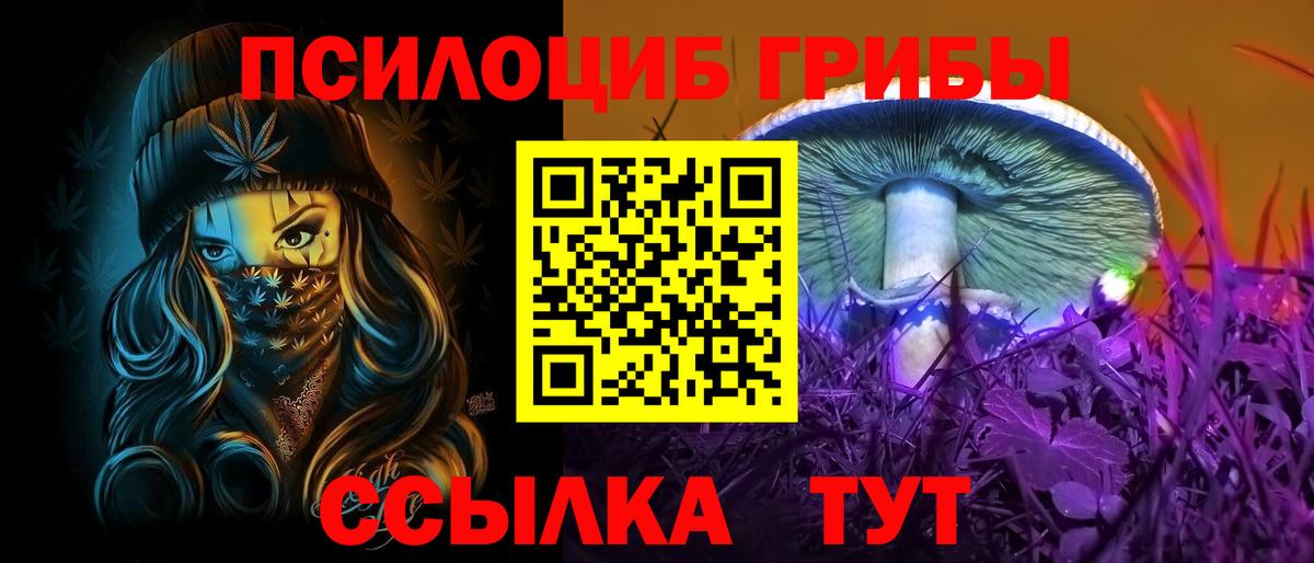 купить наркотики сайты  Вход с VPN  Мирный  Галлюциногенные грибы GOLDEN TEACHER 
