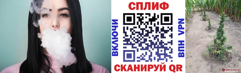 OMG ONION  Мирный  Каннабис MAZAR 
